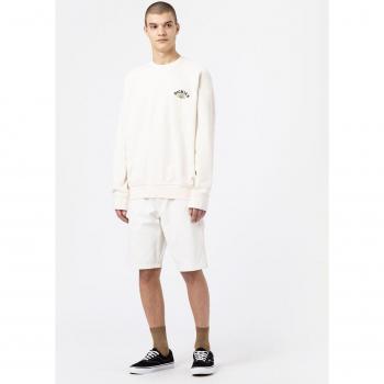 Dickies Shorts Duck Canvas Uomo 34