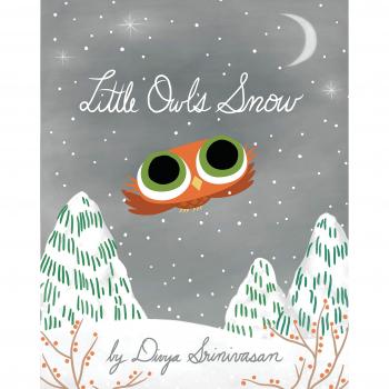 Little Owl's Snow