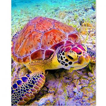 Full Drill Rhinestone Embroidery: Sea Turtle 20X30CM