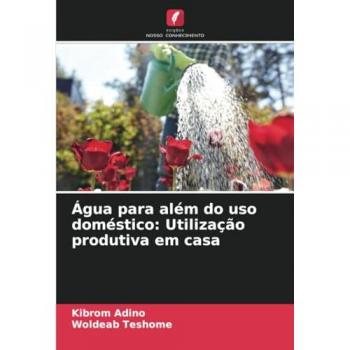 Adino, Kibrom: Água para além do uso doméstico: Utilização produtiva em casa