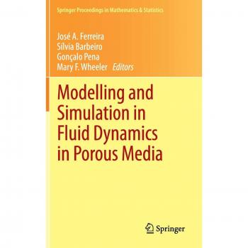 Modelling and Simulation in Fluid Dynamics in Porous Media
