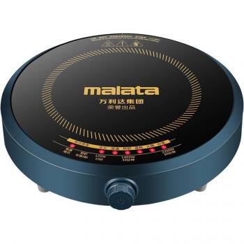 220V 2200W Portable Induction Cooktop