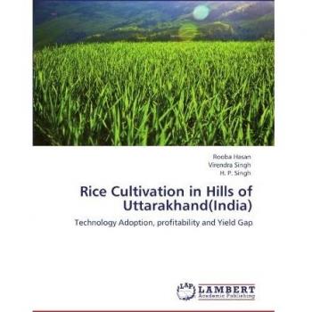 Rice Cultivation in Hills of Uttarakhand