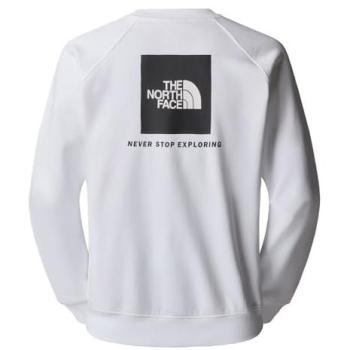 Sudadera The North Face Raglan Box NSE Crew Gris Pálido