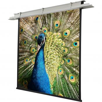 Celexon motorisierte Leinwand Deckeneinbau 200 x 200 cm