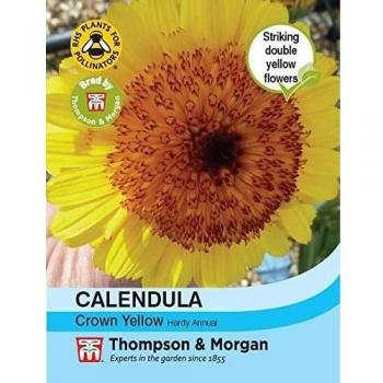 Flowering Calendula Crown Yellow Seeds – 100 (TM)