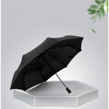 StormShield Auto Umbrella for Certo