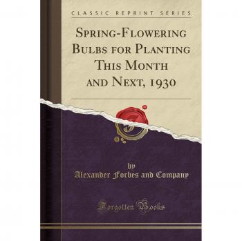 Spring-Flowering Bulbs for Planting This Month and Next, 1930