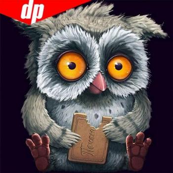 Diamant schilderij handwerk uil 5D