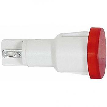 RAFI Green Transparent 1.69.523.003/1502