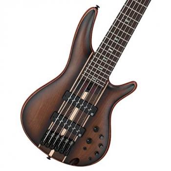 Ibanez SR Premium 6-String Electric Bass Guitar