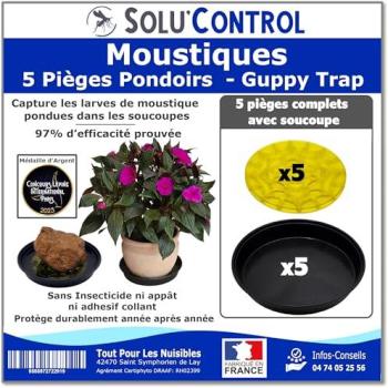 Kit de Pièges Guppy avec Coupelles Incluses