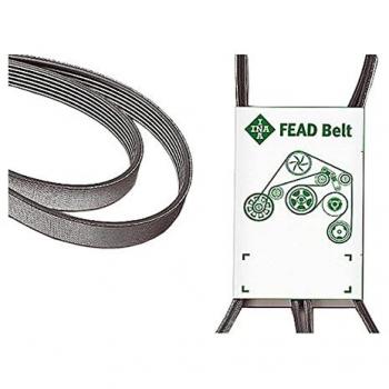 Correia trapezoidal estriada FB 7DPK1880 INA