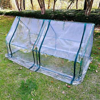 Abri pour succulentes