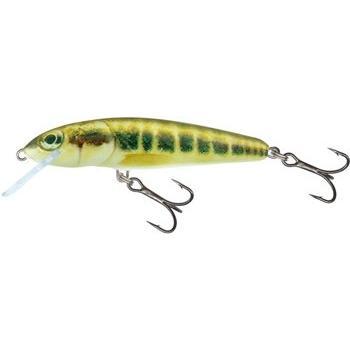 Minnow de Salmon – Variante Salmo-M, Édition M6F