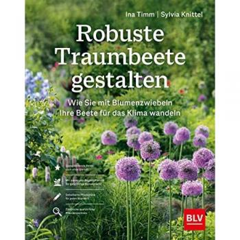 Robuste Traumbeete gestalten