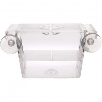 Transparent Fish Breeding Box