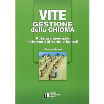 Vite. Gestione della chioma. Potatura invernale, interventi al verde e innesti