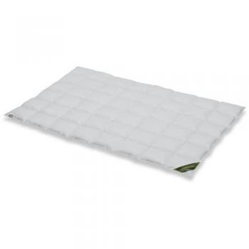 SPESSARTTRAUM Daunenbettdecke »Wildente«, 135x200cm, Ganzjahresbettdecke, 100% Daunen