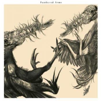 Feathered Arms