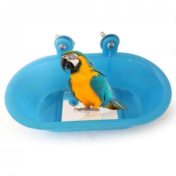 Miroir Aquatique Jouet Oiseau Budgie