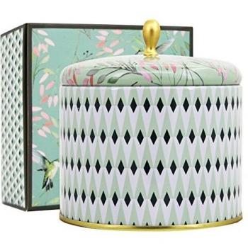 Natale Luminoso Bianco 50 Ore in Soia Naturale