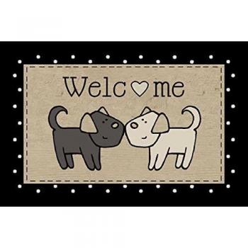 Tapis de Bienvenue en Intérieur Anti-Poussière 40x60cm