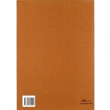 Aportaciones en técnicas de análisis y aplicaciones de la defocalización en reflectores (Tapa blanda).