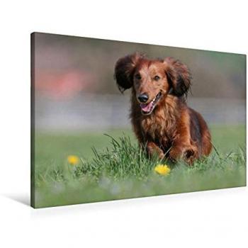 Calvendo Premium Textilcanvas 90 cm × 60 cm – Rennstrecke