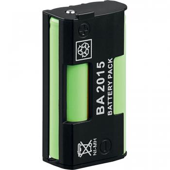 Batería/Pila recargable Wentronic