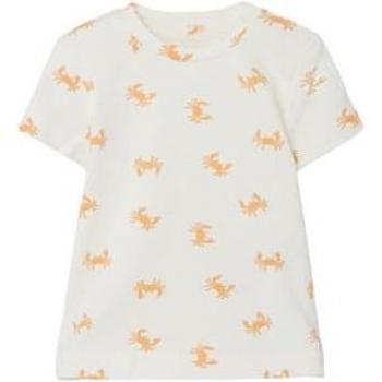 Name it T-Shirt Nbmjoe Weiß Alyssum Krustentier