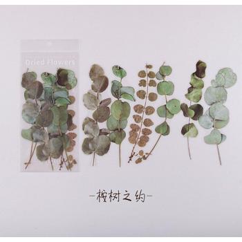 6 Stickers de Plantas Vintage para Diario y Artículos de Papelería