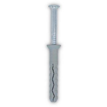 QZ 859 nagelplug 6.0x40 mm met Pozidriv