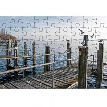 Puzzlepostkarte Bodensee 1: Motiv Möwen am Steg (Kultur erleben im GMEINER-Verlag)