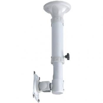 Newstar Adjustable Height Ceiling Mount for 10-30 Screen
