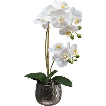 Creativ green Kunstorchidee »Phalaenopsis«, naturgetreue Blüten