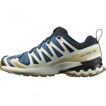 Salomon XA Pro 3D v9 Trail Shoes – Blauw met Goud Accent (Gore‑Tex) – 48