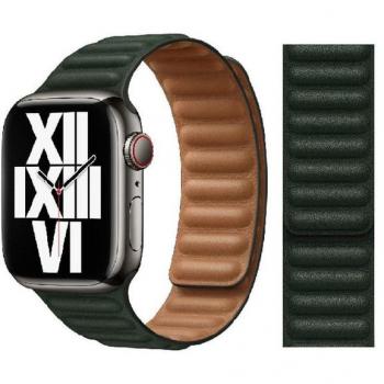 Apple Collegamento in Pelle Verde 41 mm