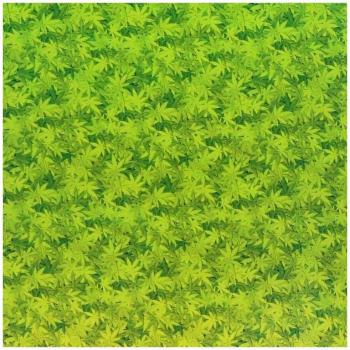 Grünes Blatt Hydrographie‑Film 50 x 200 cm – Wasser Transfer