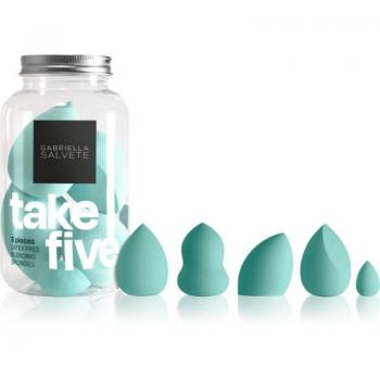 Gabriella Salvete Take Five Light Green Makeup Applicator Kit
