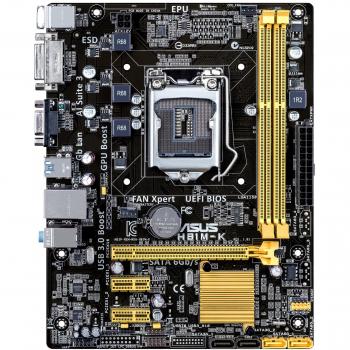 Placa base ASUS H81M-K DDR3-SDRAM 16 GB