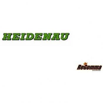 Heidenau K73 SiO2 120/70-17 TL 58H M+S M/C