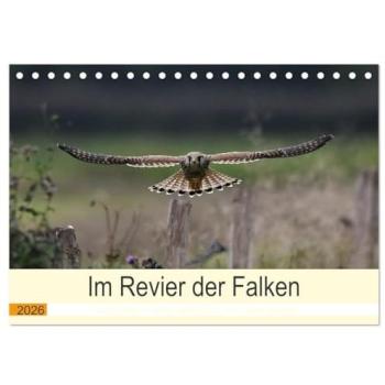 Calvendo, Kalender, Im Revier der Falken (Tischkalender 2026 DIN A5 quer), Monatskalender (Deutsch)