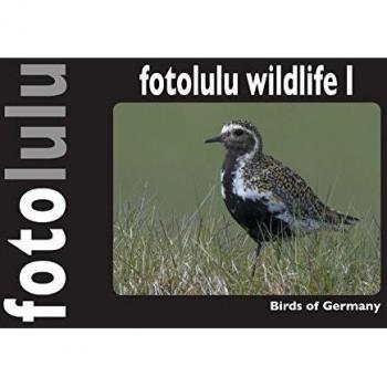 fotolulu wildlife I