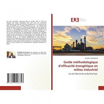 Guide méthodologique d’efficacité énergétique en milieu industriel: Cas de l’électricité au Burkina Faso