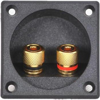 2-Way Subwoofer Speaker Terminal with Binding Post for Home and Car