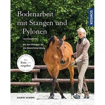 Bodenarbeit mit Stangen und Pylonen, Manuale di Sigrid Schöpe