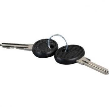Kit di Accessori EFB Elektronik: Chiave di Ricambio per Armadio a Muro IP55 – 2 Unità (Nero, Argento)