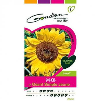 Gondian