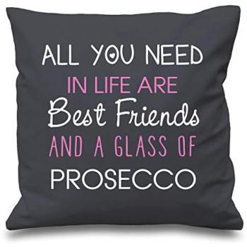60 Second Makeover Grey Cushion Cover: Friendship + Prosecco Cushion Set